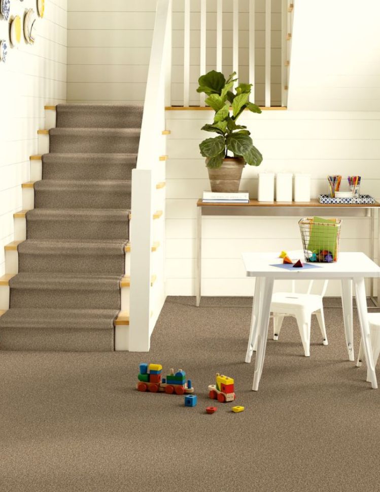 carpet in a St. Paul hallway