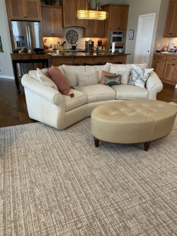 area rug in living room