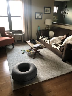 area rug in living room