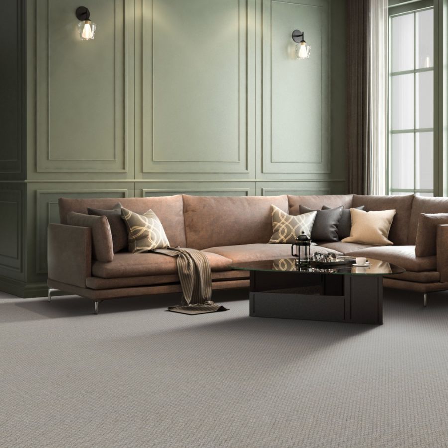 carpet in a St. Paul living room